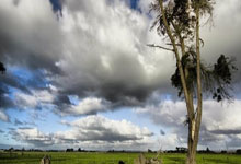 开云体育登录-金色眼泪沸腾时：当勇士梦断奥运，球迷的呐喊震碎星空