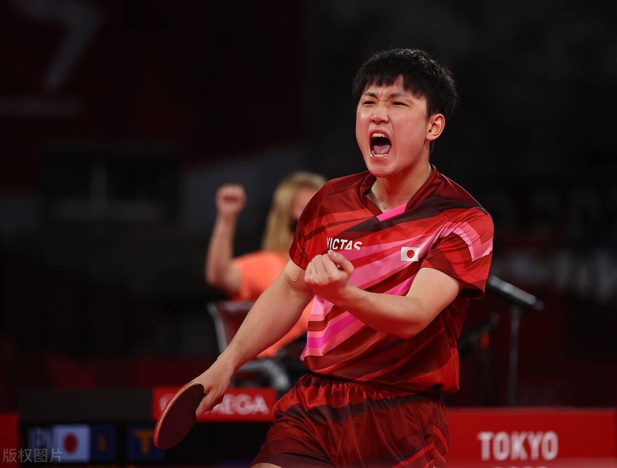 开云体育平台APP-德国乒乓球队力克奥地利乒乓球队，波尔爆发神勇