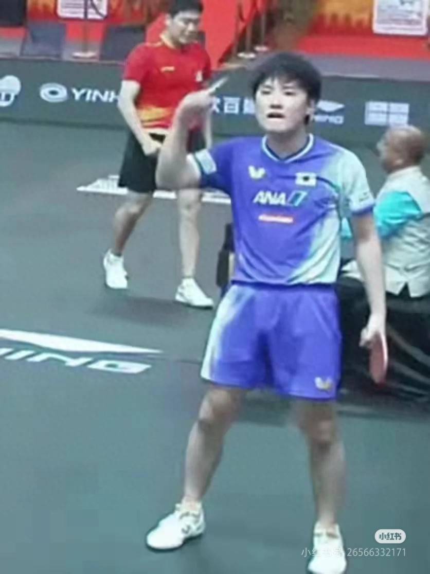 关于奥地利队逆转波兰队，张本智和高光表现的信息