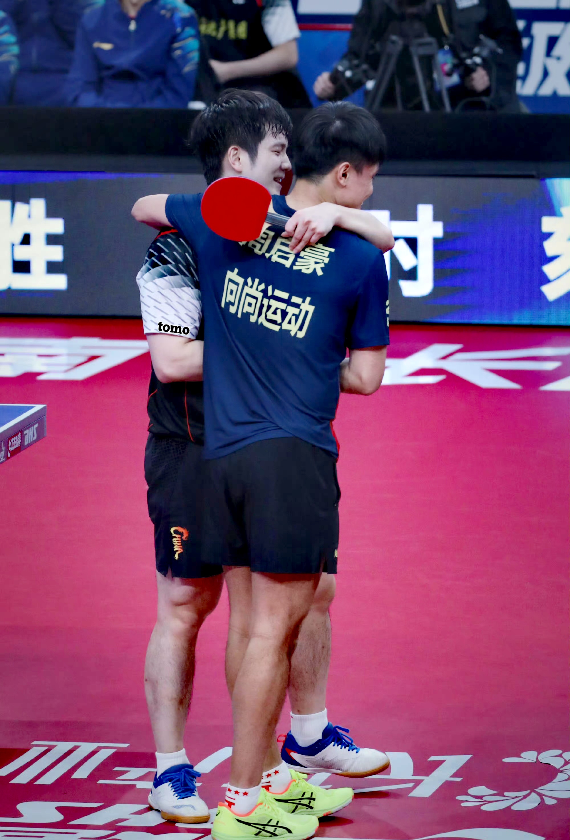 关于德国队绝杀日本队，樊振东高光表现的信息