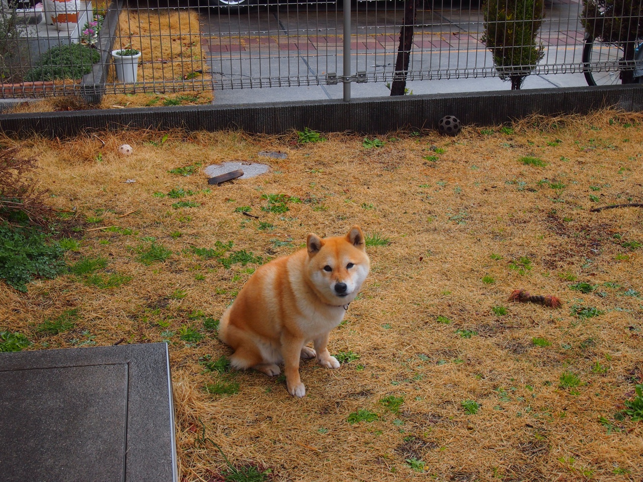虚拟巅峰对决,恩比德空降迈阿密,率热火跨越大洋横扫江苏!