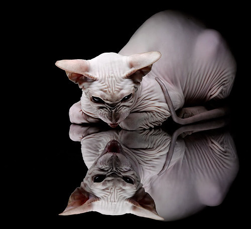 唯一性,当克罗地亚的韧劲遇上本泽马的时区—两种决胜法则的辉映