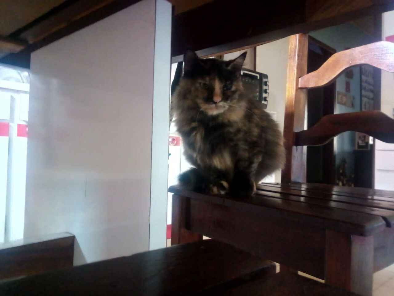 夜幕下的雕塑家，蒂亚戈如何用一记绝杀镌刻NBA历史