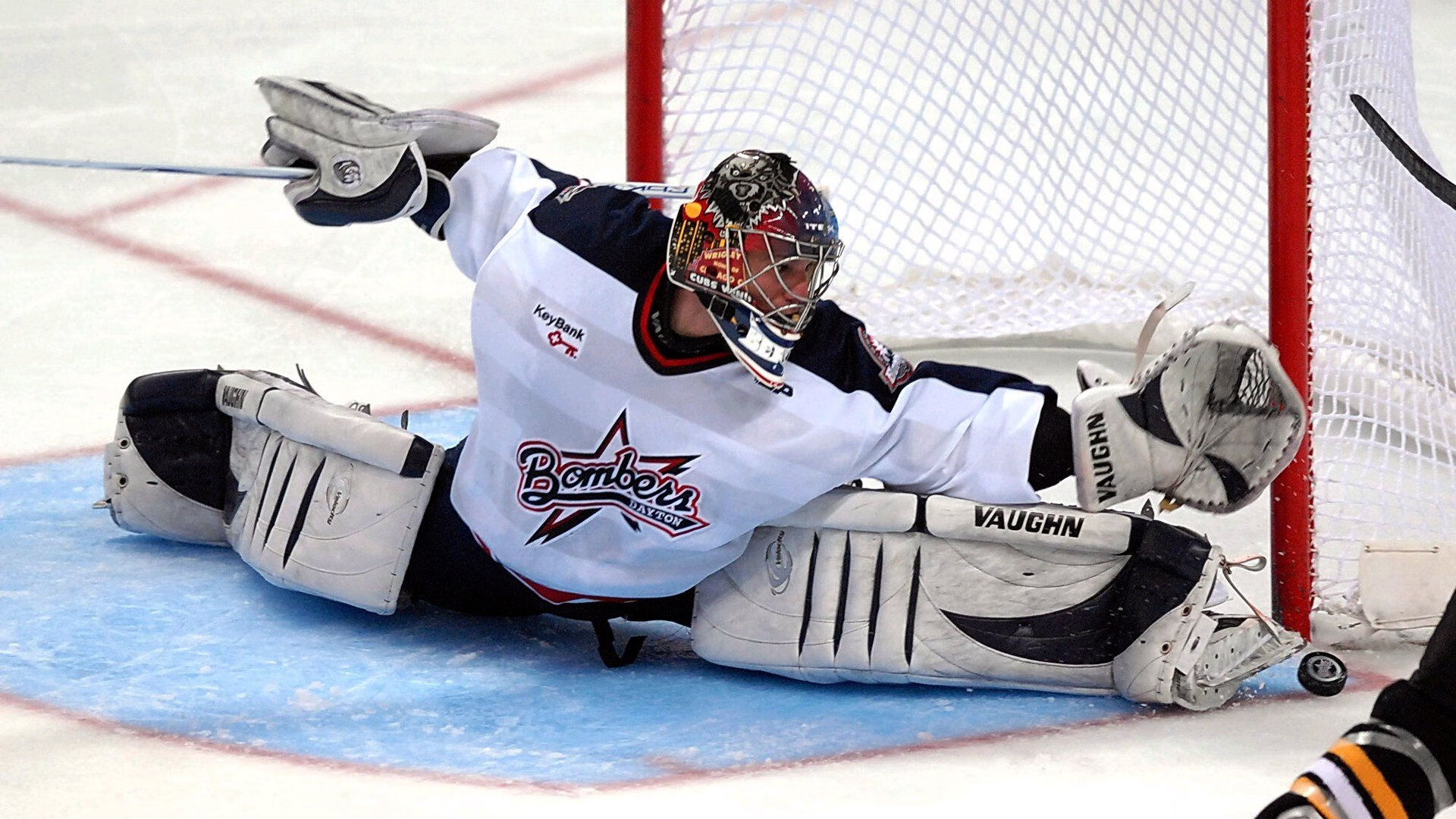 黑翼撕裂夜幕，当新生羽翼掠过钢铁巨兽的丛林