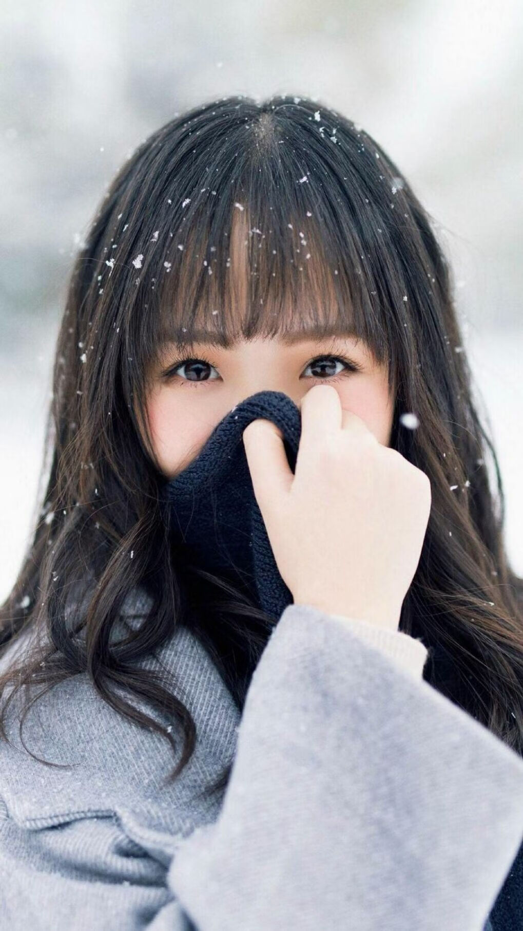 当精密齿轮咬碎丹佛高原，浙江队如何用戈贝尔节奏带走掘金