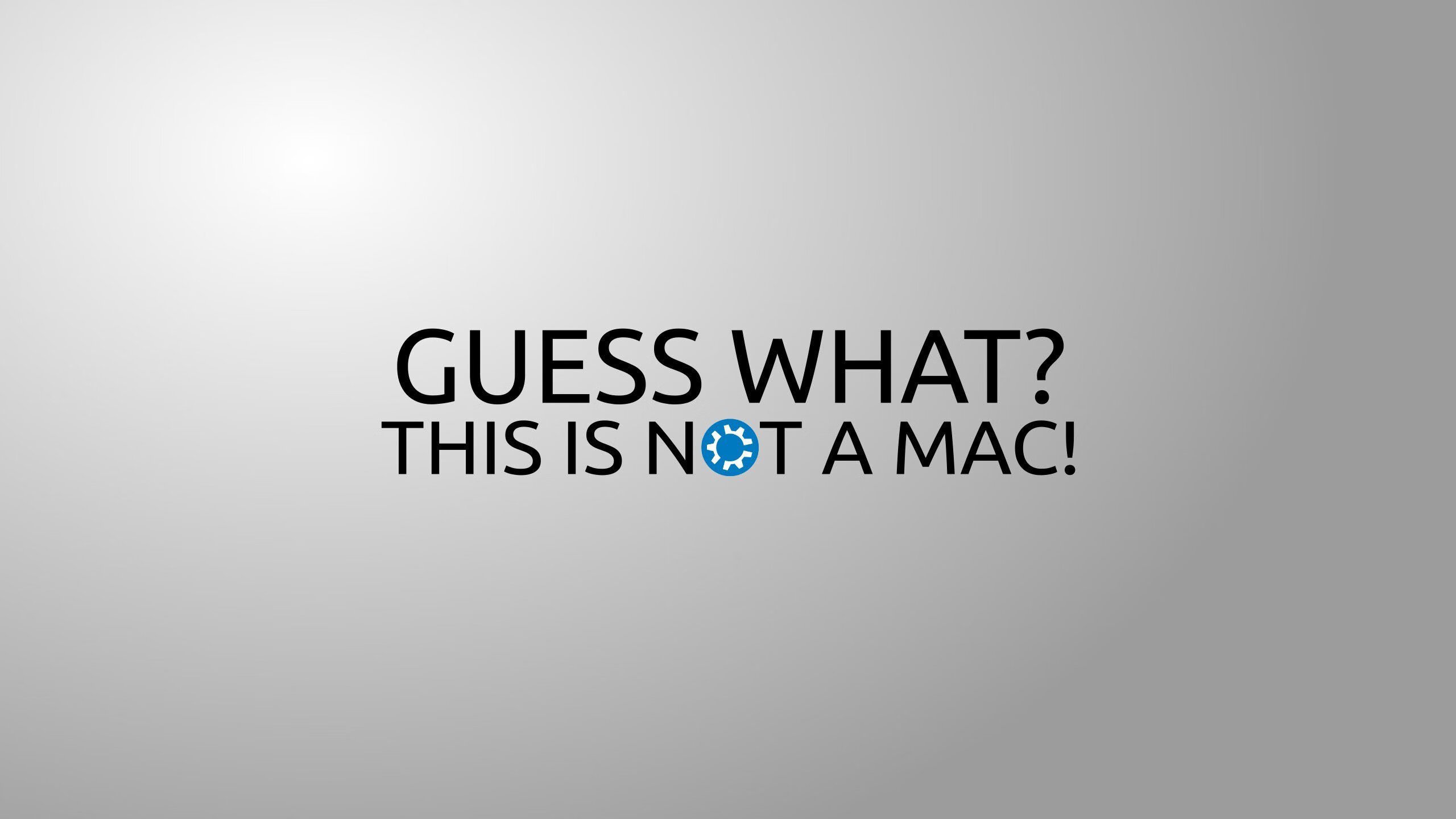 开云体育官网-从北境新王到体系驱动者，米切尔如何改写猛龙基因？