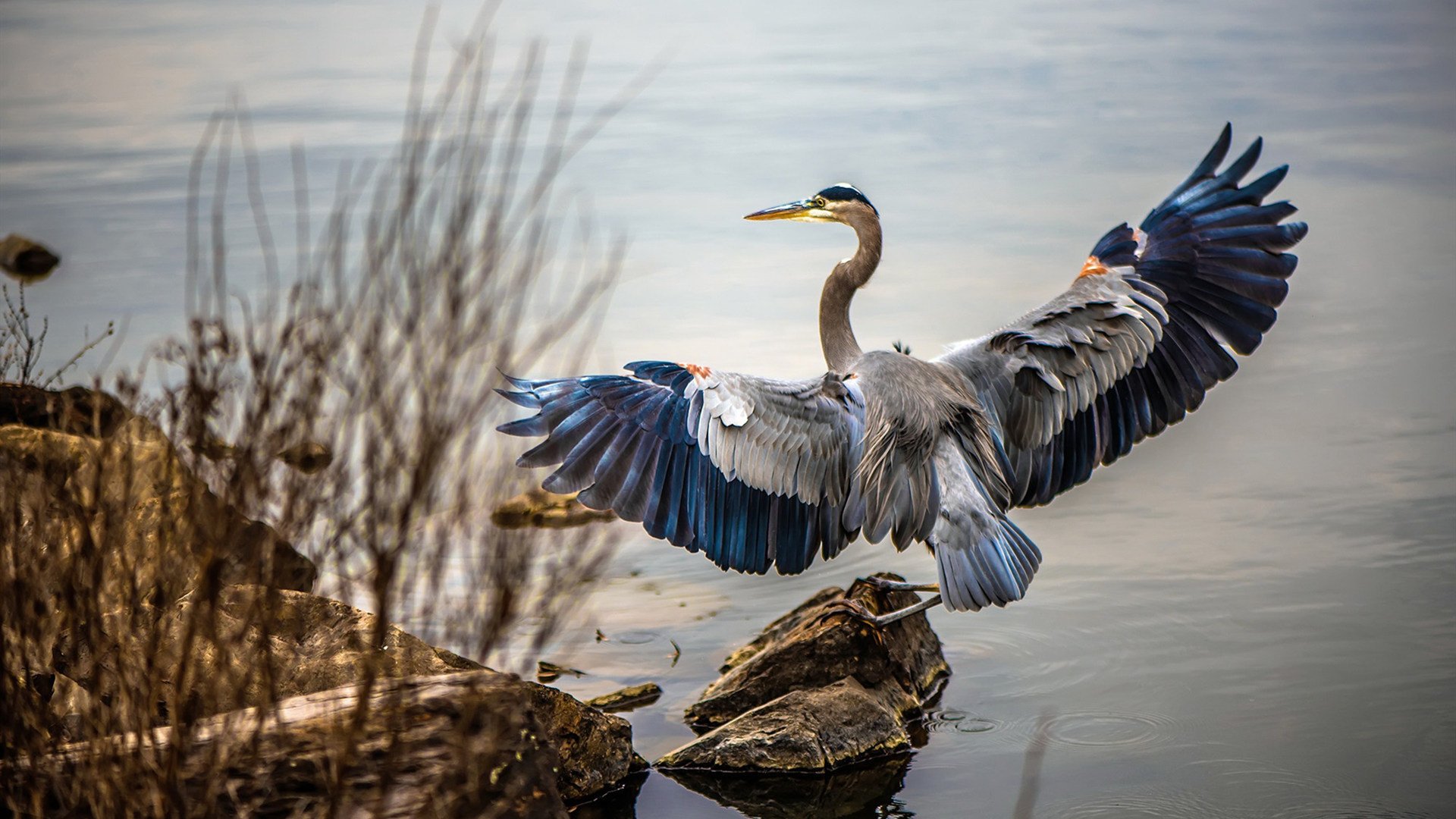 瑞士钟表匠精准调校擒摩洛哥,哈弗茨化身关键齿轮