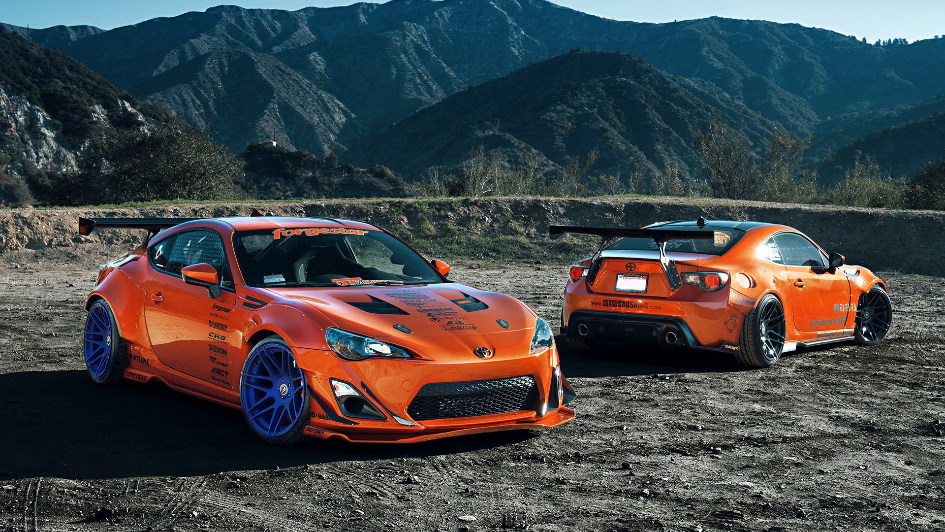 霍勒迪的东方假日，当浙江奇迹成为篮网的午夜惊魂