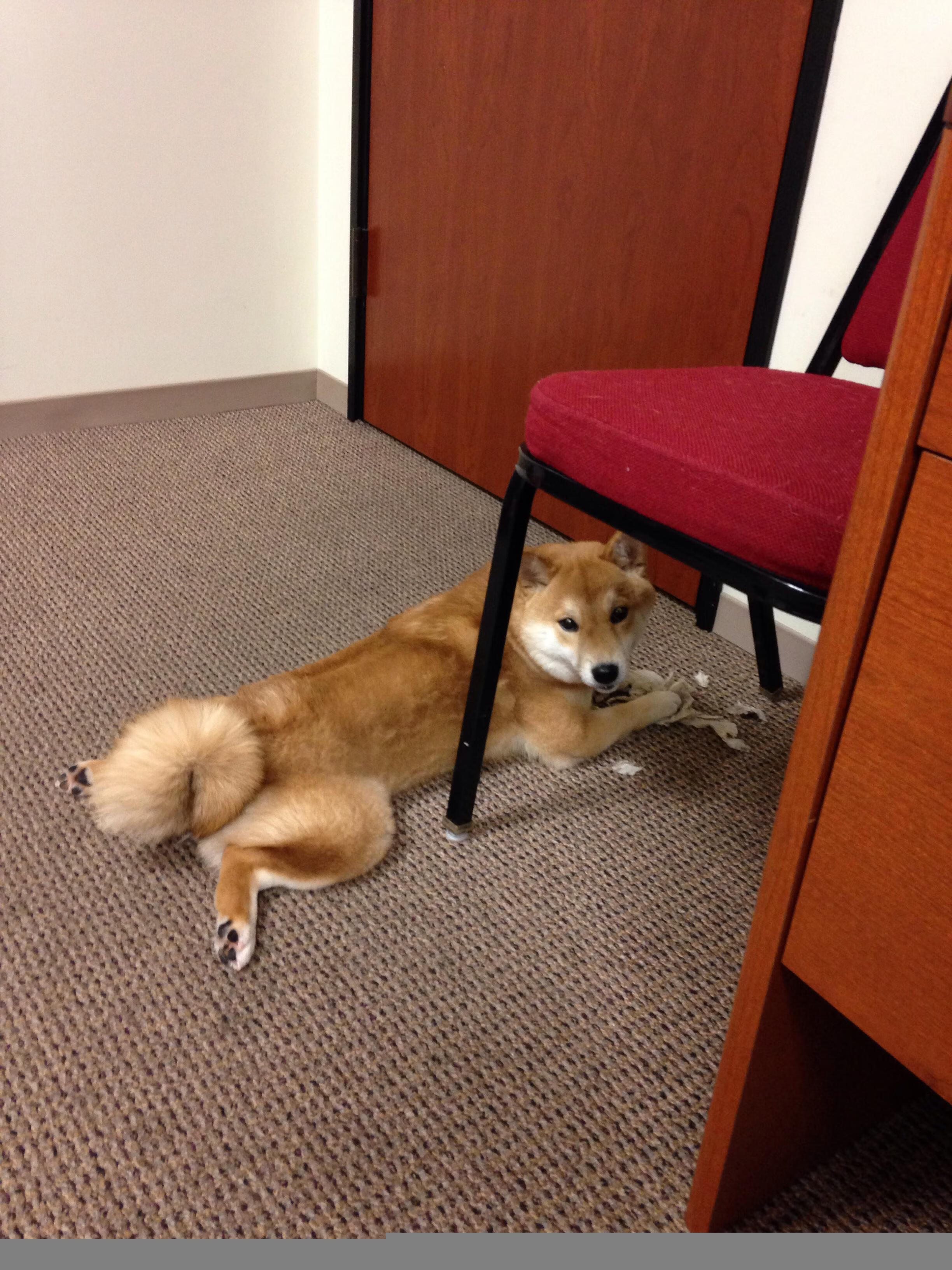 独舞决定天平,在英超争冠之夜,布伦森完成了现代足球的终极命题