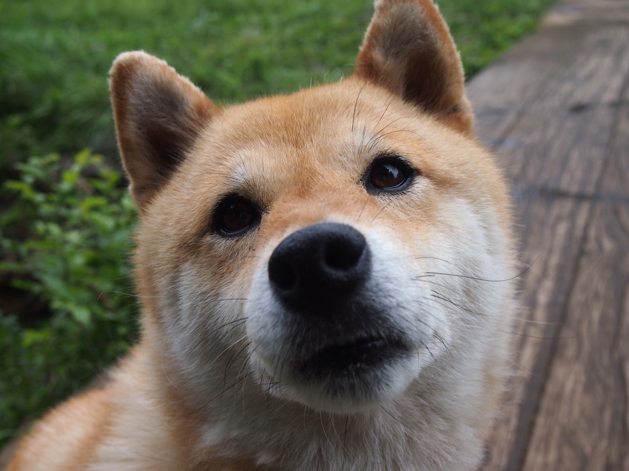 开云体育在线-拉什福德空降友谊赛？当大数据时代的足球幻想照进新西兰对阵伊朗的现实