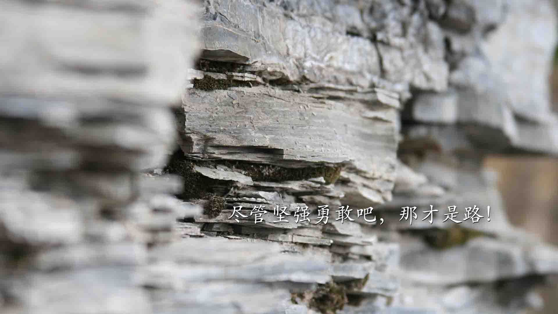 雷霆万钧终破长空，贝恩化身手术刀，末节11分肢解老鹰防线