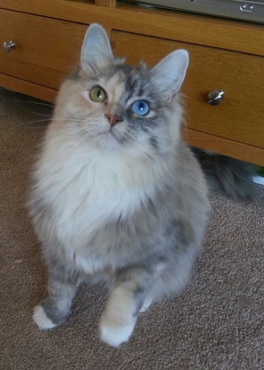 奥运关键战,尼斯单节拉开曼城,马丁内利接管比赛定乾坤