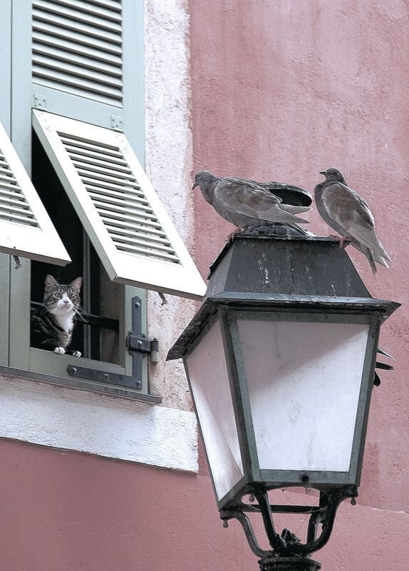 开云体育入口-攻防转换的核心，罗德里在厄瓜多尔对阵摩纳哥中的关键作用